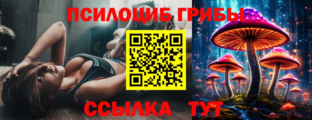 Галлюциногенные грибы Cubensis Бузулук