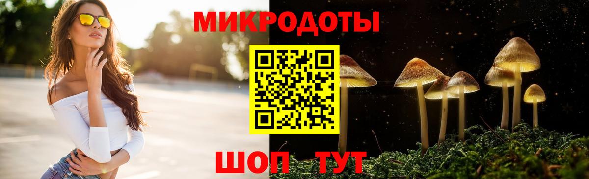 Галлюциногенные грибы GOLDEN TEACHER  Вход с VPN  Бузулук 